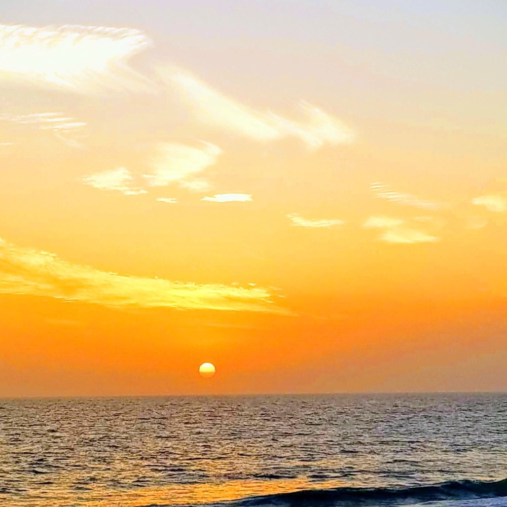 Meet your Posher, Elvira